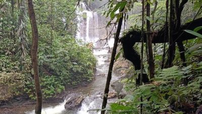 PLTM 1,2 MW Wabudori Papua Dikejar Pemeliharaan Setelah 15 Tahun Mangkrak