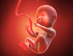 Arti Reaksi Cemberut Janin saat Bunda Makan Sayuran Berdaun Hijau, Bukan Berarti Tak Suka Arti Reaksi Cemberut Janin saat Bunda Makan Sayuran Berdaun Hijau, Bukan Berarti Tak Suka