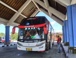 Cek Jadwal dan Harga Tiket Bus AKAP Bali ke Jawa Hari Kamis (17/7)