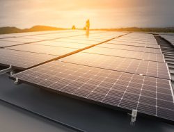 Trump imposes new limits on solar and wind energy projects