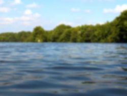 Injured Man Hospitalized Following Water Emergency at Madison River Park