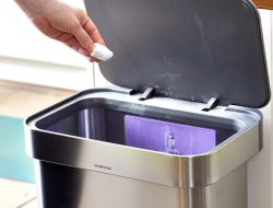 Cara Menghilangkan Bau Tak Sedap Tempat Sampah dengan 3 Bahan Dapur