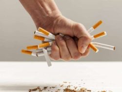 Lawan Rokok Ilegal, Bea Cukai Bentuk Satgas Khusus