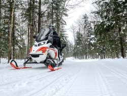 McLaren Sued After Snowmobile Incident McLaren Sued After Snowmobile Incident
