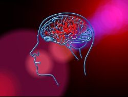 Kenali Risiko Stroke dengan Pemeriksaan Transcranial Doppler Kenali Risiko Stroke dengan Pemeriksaan Transcranial Doppler