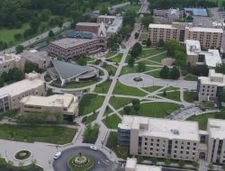 University to reduce staff amid falling student numbers University to reduce staff amid falling student numbers
