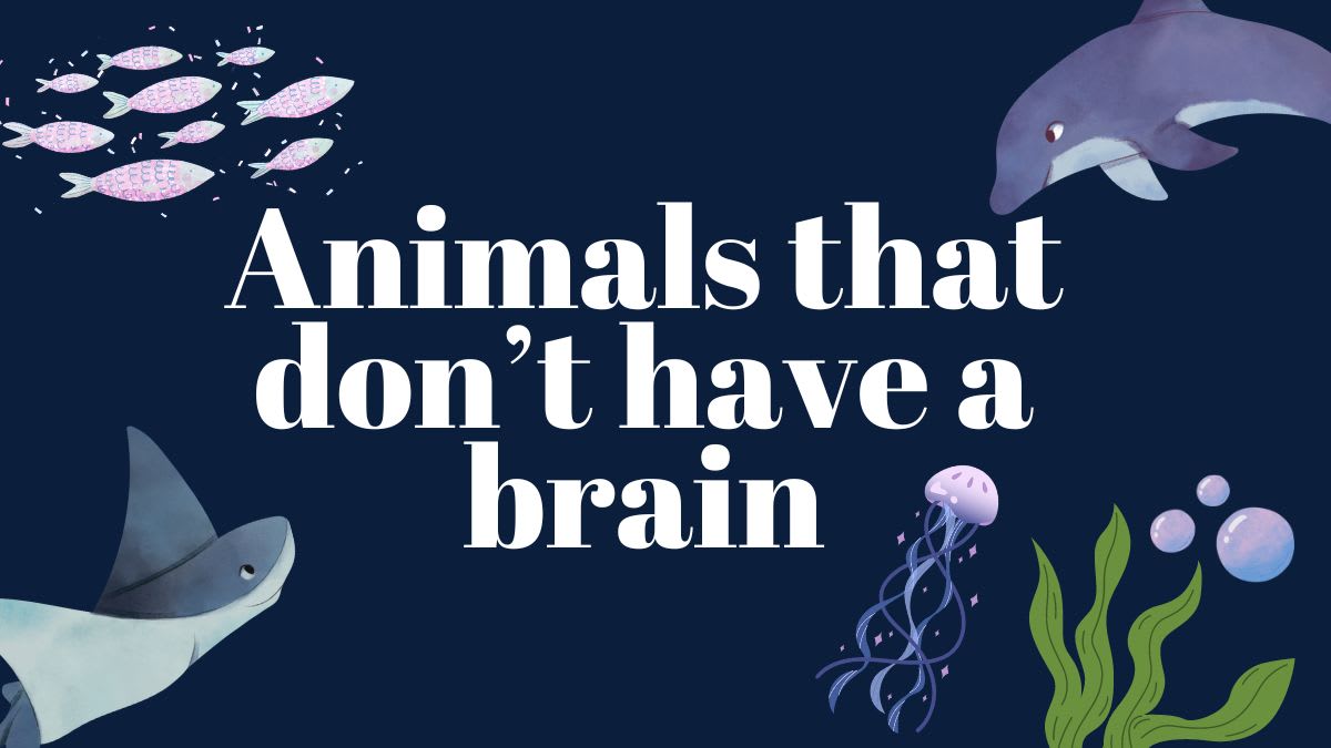 5 Creatures Without a Brain