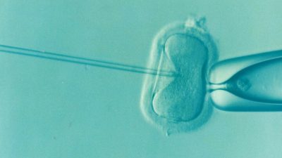 Why three-person embryos are a scientific breakthrough, but not for LGBTQ+ families
