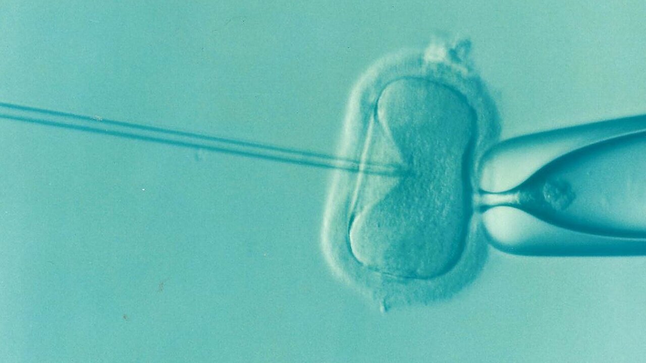 Why three-person embryos are a scientific breakthrough, but not for LGBTQ+ families