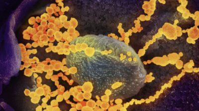 CDC: COVID-19 Cases Surge in Parts of the U.S.