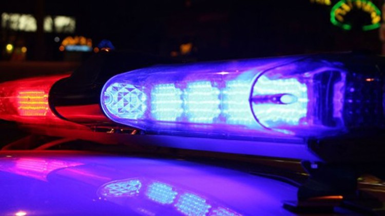 Council Member Charged with Criminal Mischief After Damaging Banned Hunting Cabin