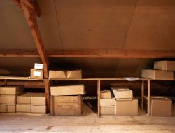 12 Essential Items to Avoid Putting in Cardboard Boxes 12 Essential Items to Avoid Putting in Cardboard Boxes