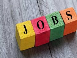 Job seekers, stop searching! 262 posts open at Oil India Limited – details inside.
