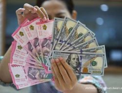 Cek Kurs Dollar-Rupiah di 4 Bank Besar Hari Senin (14/7), Nasabah Ramai Cek Kurs Dollar-Rupiah di 4 Bank Besar Hari Senin (14/7), Nasabah Ramai