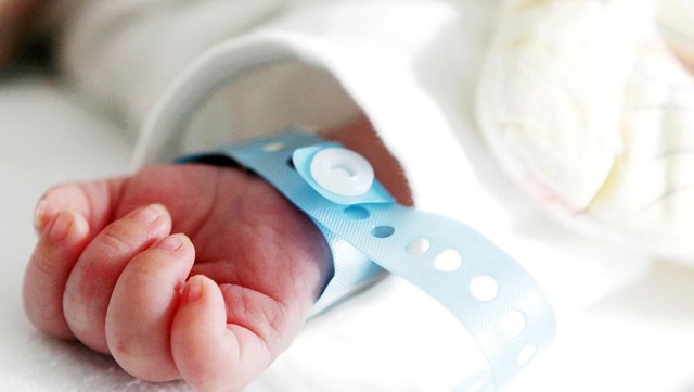 Protein yang Dulu Dianggap Merusak Otak Ternyata Kunci Tumbuh Kembang Bayi