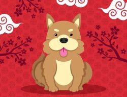 Ramalan Shio Anjing 30 Juni – 6 Juli 2025: Karier, Cinta, Keuangan, Pendidikan, Kesehatan
