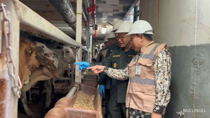 Kementan: Impor Sapi Pedaging Tembus 231.593 Ekor hingga 2 Juli 2025