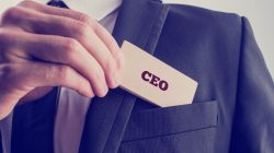 CEO Killed by Elephant at South African Wildlife Reserve