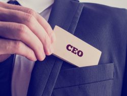 CEO Killed by Elephant at South African Wildlife Reserve