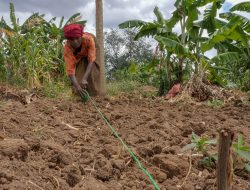 Tanzania Reclaims Ancient Crops Through Agroecology