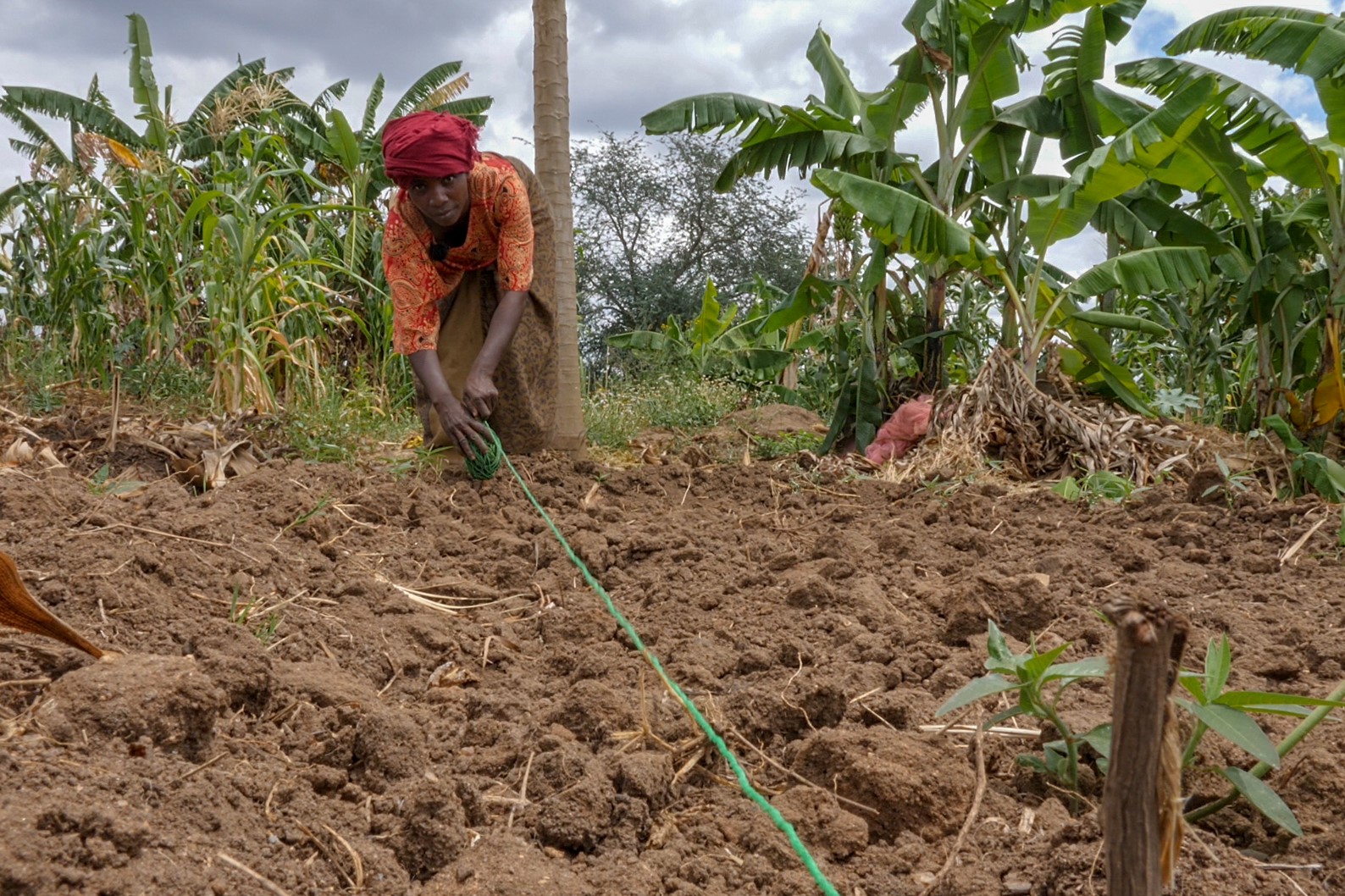 Tanzania Reclaims Ancient Crops Through Agroecology