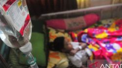 Kasus DBD di Bantul Capai 453, Dinkes Ajak Warga Aktif Lakukan PSN