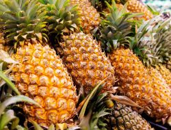 The Secret to Choosing a Ripe Pineapple, Revealed by Del Monte