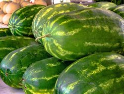 The Secret to Knowing a Ripe Watermelon, From a Farmer The Secret to Knowing a Ripe Watermelon, From a Farmer