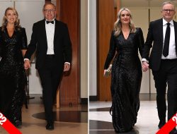 Sparkling Sustainability: Jodie Haydon Recycles Glam 2022 Gown for Midwinter Ball Amid Cost of Living Crisis