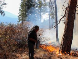 Canada Turns to Ancient Indigenous Fire Practices to Tackle Wildfires Canada Turns to Ancient Indigenous Fire Practices to Tackle Wildfires