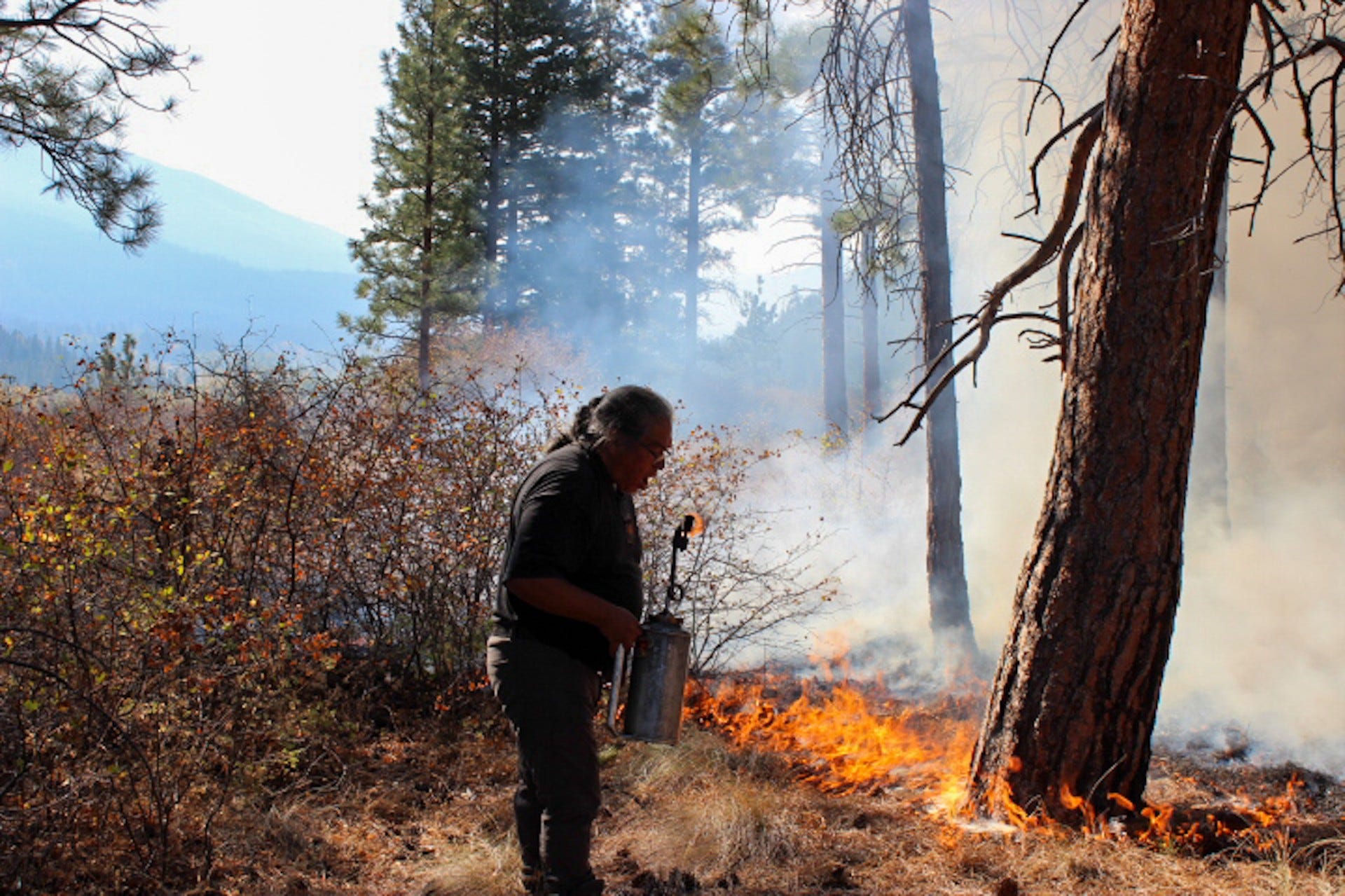 Canada Turns to Ancient Indigenous Fire Practices to Tackle Wildfires
