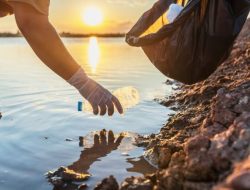 Jumlah Sungai Terkontaminasi di Jakarta Menurun Signifikan