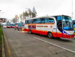 Balen’s Busy Buses Balen’s Busy Buses