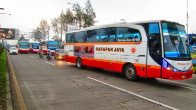 Balen’s Busy Buses