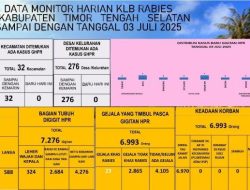 **Waspada Gigitan Hewan Rabies, Segera ke Fasilitas Kesehatan!**