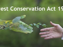 Government Protects State Forests with New Measures Government Protects State Forests with New Measures