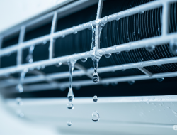 5 Surprising Uses for AC Water You Never Knew 5 Surprising Uses for AC Water You Never Knew