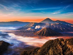 Wisata Murah di Alas Pakis Malang, Gratis Foto Prewedding dengan Pesan Makanan Wisata Murah di Alas Pakis Malang, Gratis Foto Prewedding dengan Pesan Makanan