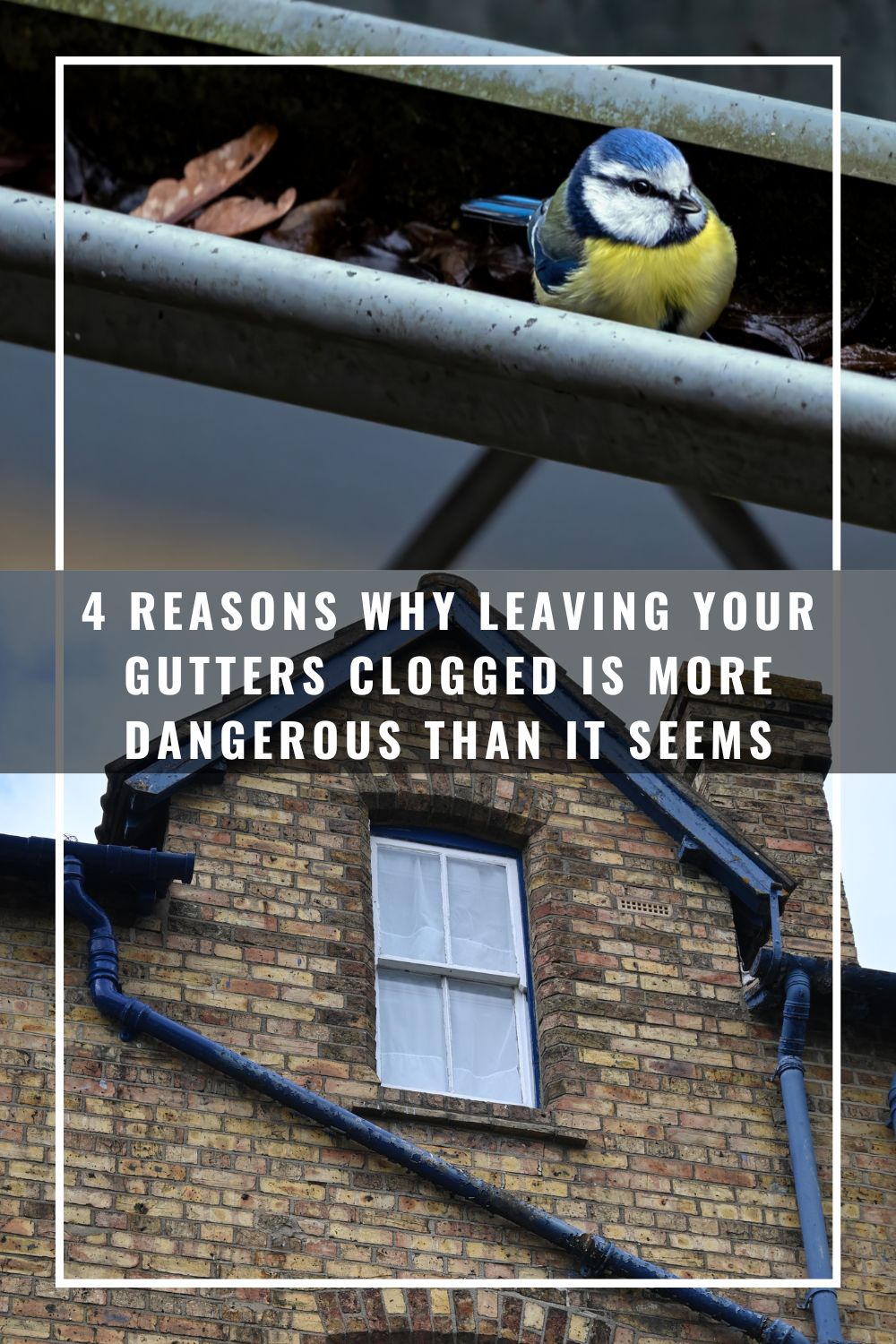 Clogged Gutters Endanger Health as Rain Looms
