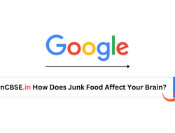 The Dopamine Trap: How Porn and Junk Food Flood Your Brain Without Lasting Joy The Dopamine Trap: How Porn and Junk Food Flood Your Brain Without Lasting Joy
