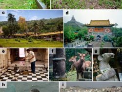War, Politics, and Religion Influence Urban Wildlife Evolution War, Politics, and Religion Influence Urban Wildlife Evolution