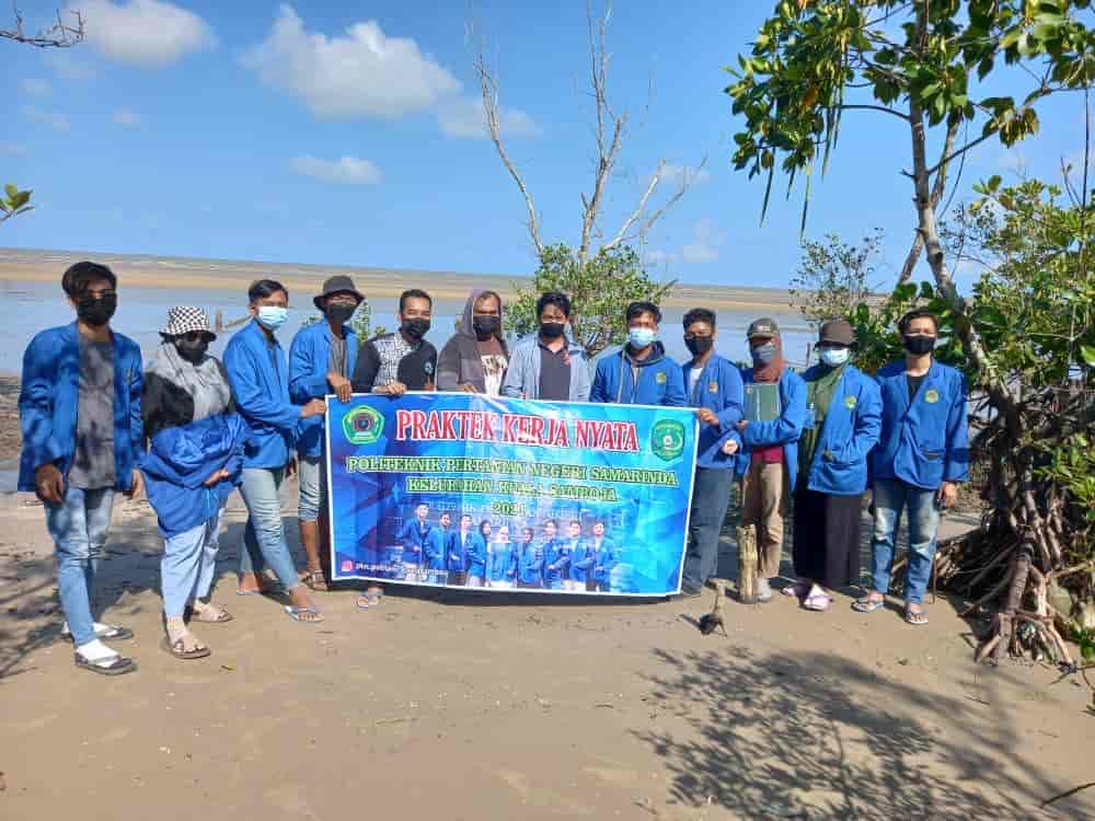 Peringati Hari Mangrove Sedunia, BRI Tanam 10.000 Mangrove di Muara Gembong