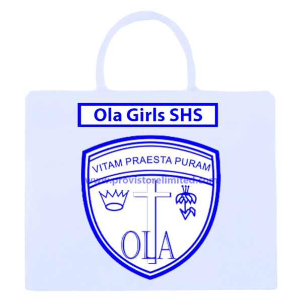 FirstBank Women’s Network Empowers Future Leaders at Ola Girls SHS