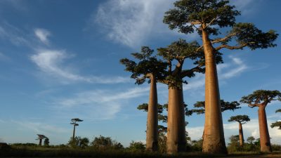 Madagascar Enhances Educational Results