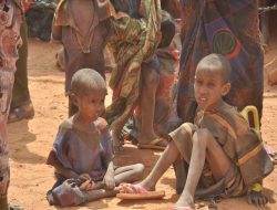 FG Warns of Alarming Reproductive Health Gaps in Adolescent Girls