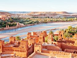 Morocco Seeks More Cattle Imports as Europe’s Meat Prices Rise, Turns to Brazil