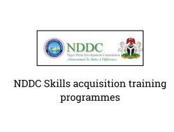 Ignore unauthorized skill training, NDDC cautions public Ignore unauthorized skill training, NDDC cautions public