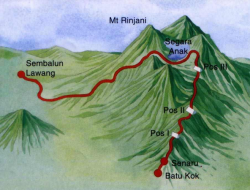 Jalur Neraka Rinjani: Kisah Tragedi Turis Brasil yang Jadi Pelajaran Kesehatan