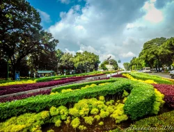 Taman Sorong Jadi TPS Dadakan, Wajah Kota Tercoreng
