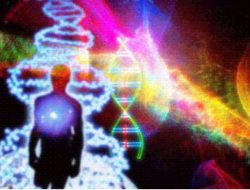 Kenyan scientists decode jigger’s DNA mystery